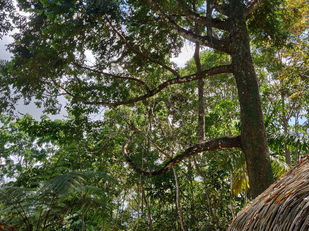 Las Nubes Resort主图