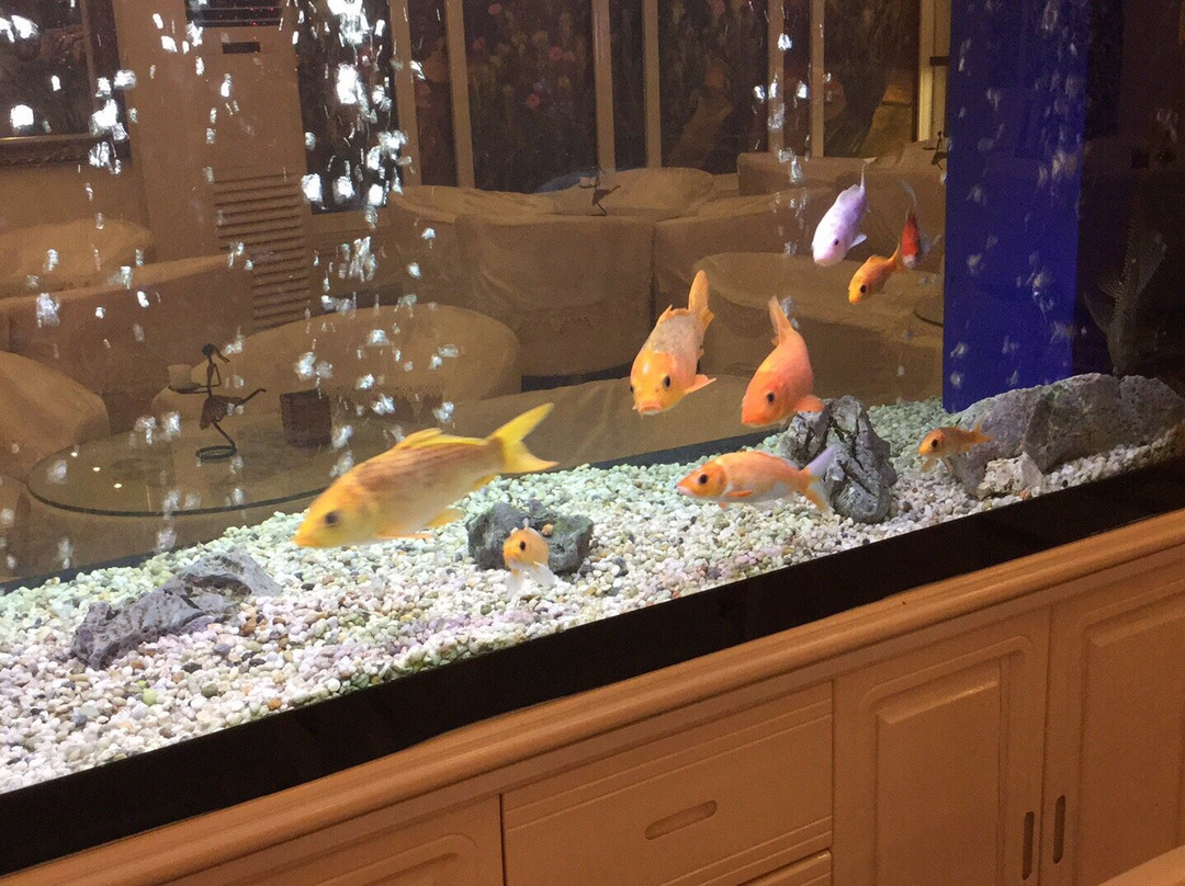 Dai Nam Hotel Binh Duong主图