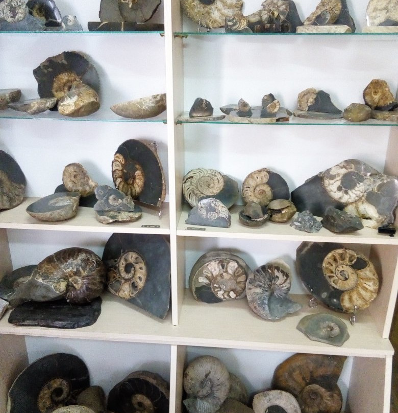 Museum Garden of Stones景点图片