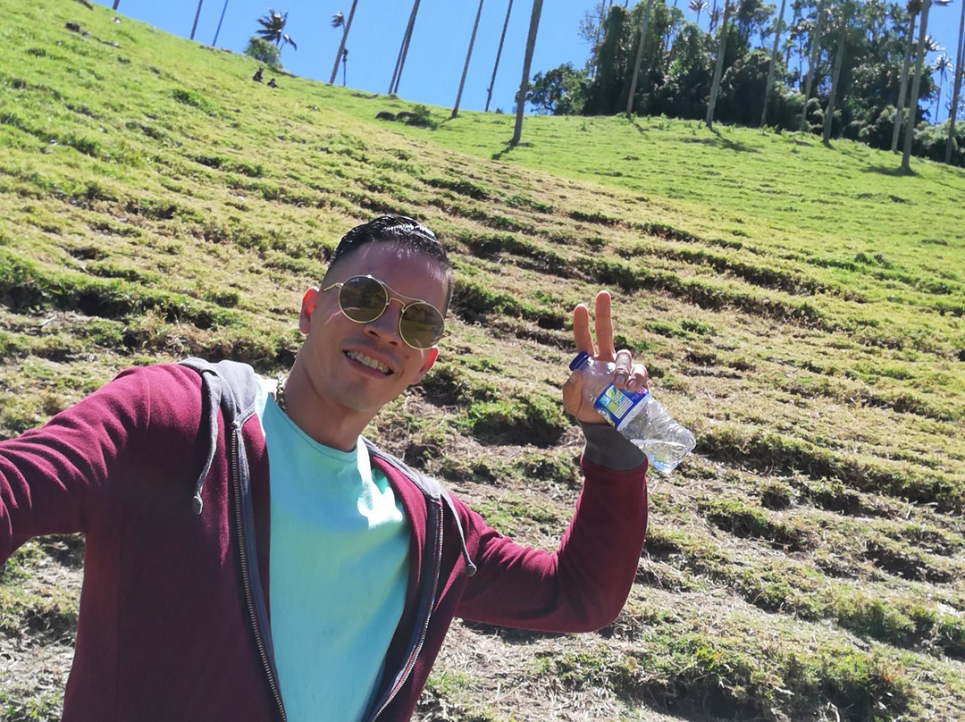 Bosques de Cocora-萨伦托必去景点