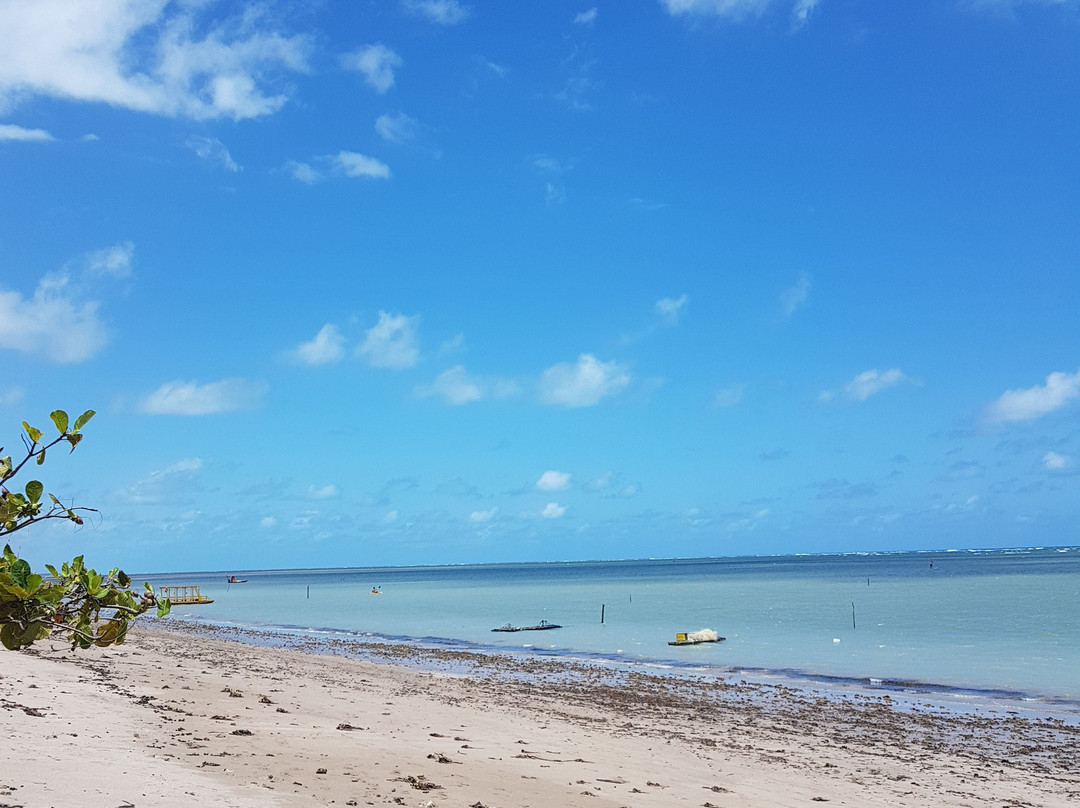 Pousada Patacho主图