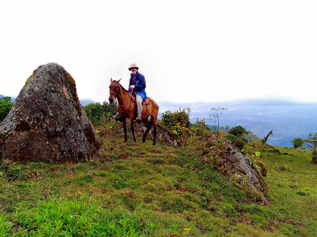 Queveri Horseback Riding Tours景点图片