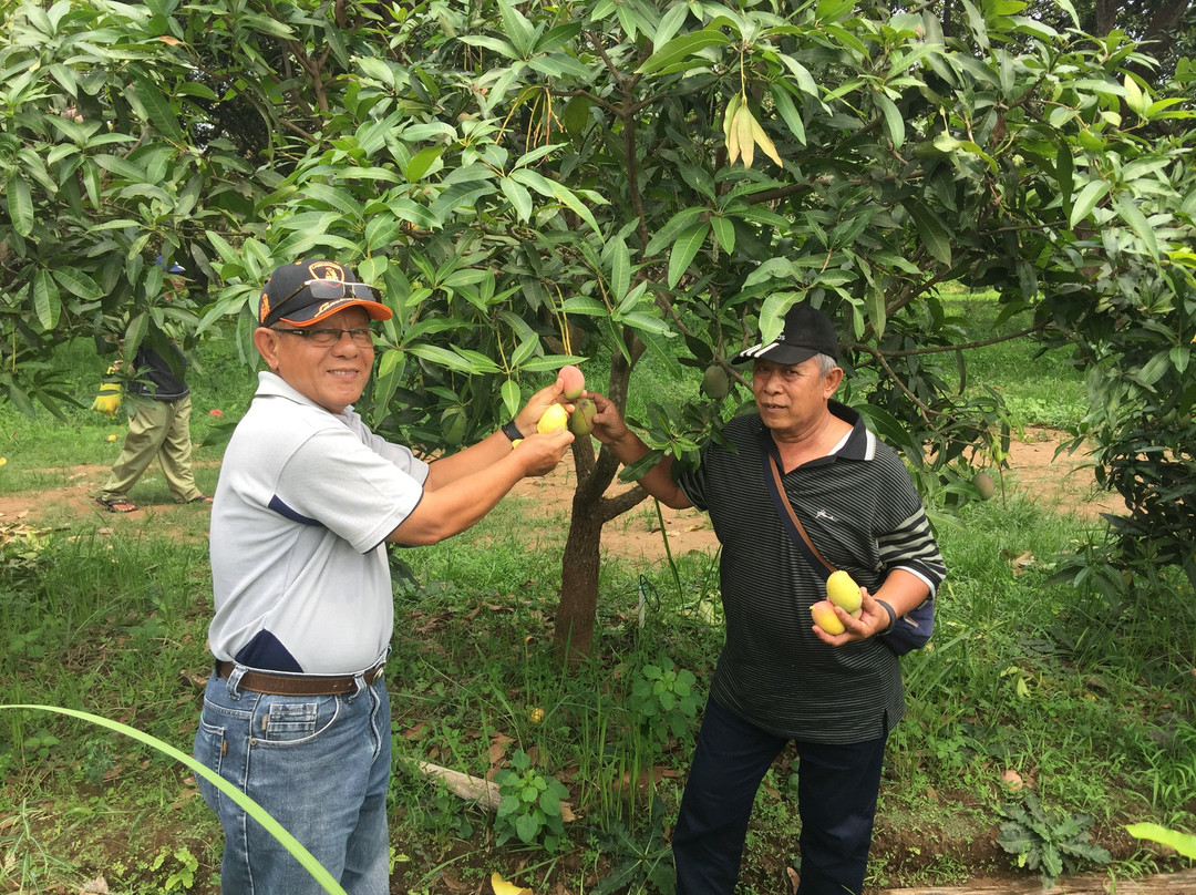 Kebun Percobaan Cukurgondang-巴苏鲁安必去景点