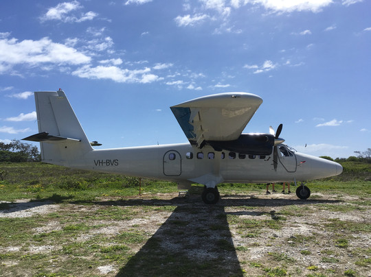 Lady Elliot Island Day Tour-埃里奥特夫人岛必去景点