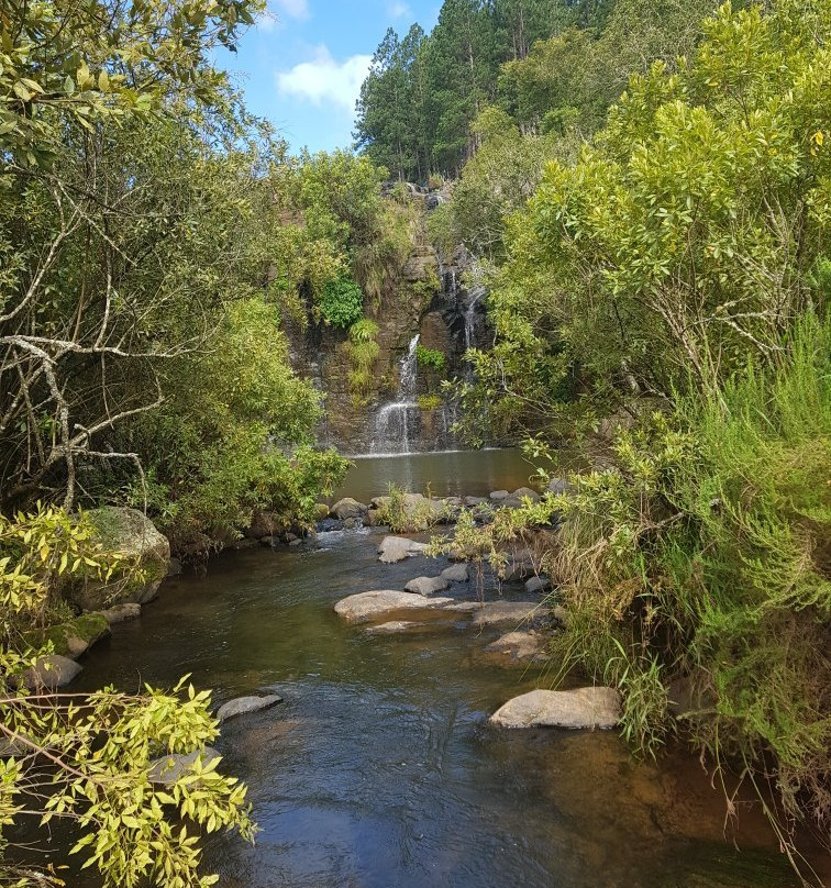 Forest Falls Nature Walk-沙比必去景点