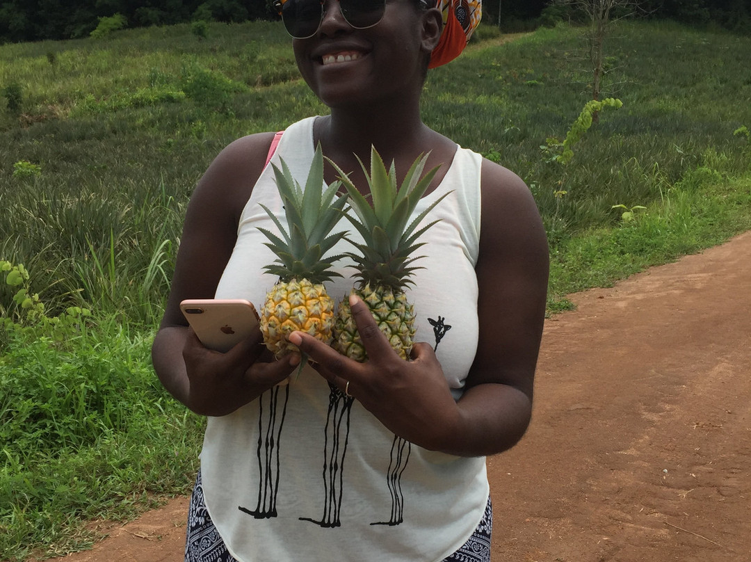 美瑶度假村主图