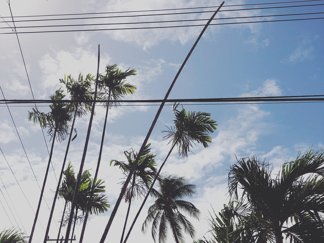 Dover Woods Guesthouse主图