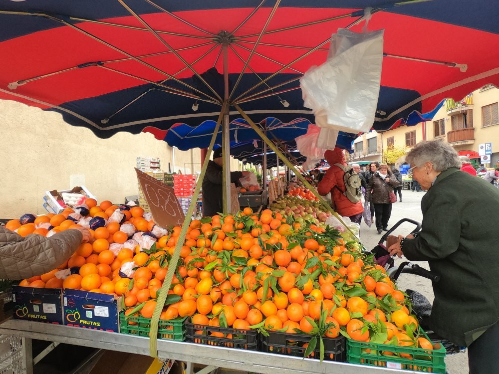 Saturday Market La Garriga景点图片