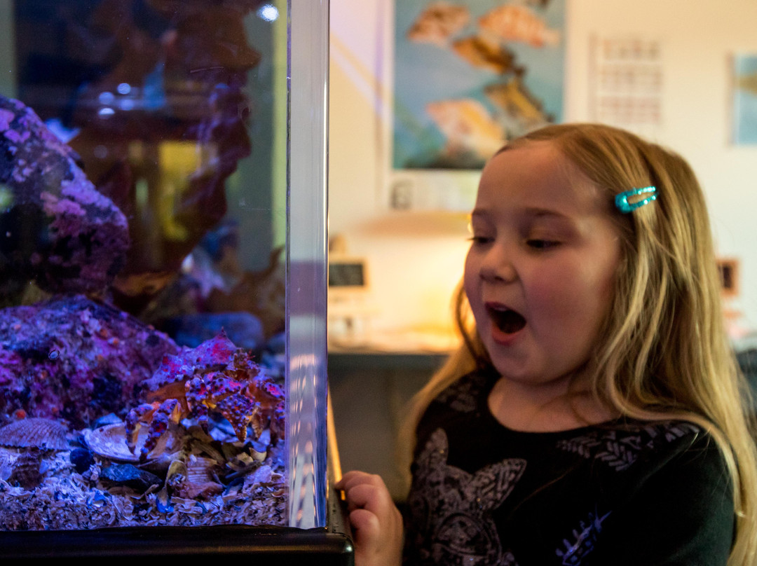 Tidepools Aquarium-吉布森斯必去景点