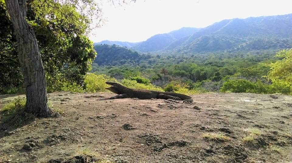 Komodo Resolution Tours-纳闽必去景点