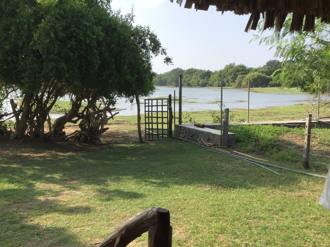 Yala Lake View Cabanas主图