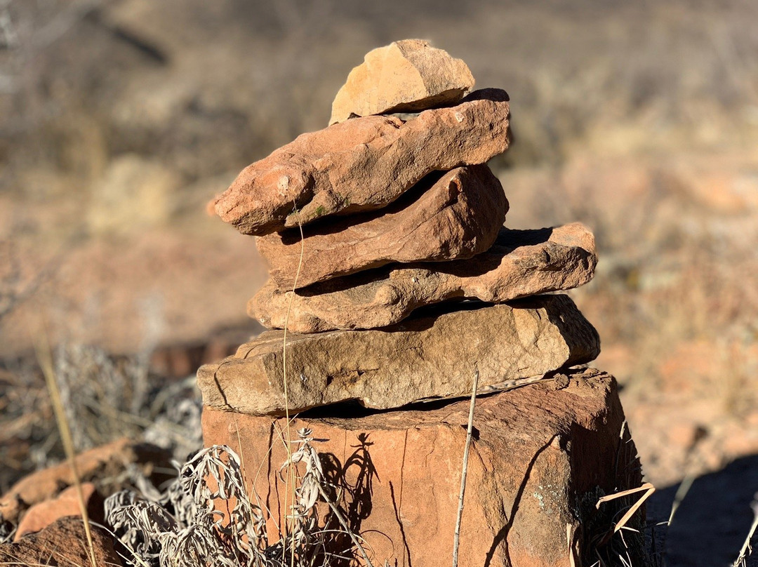 Coyote Ridge Natural Area-科林斯堡必去景点