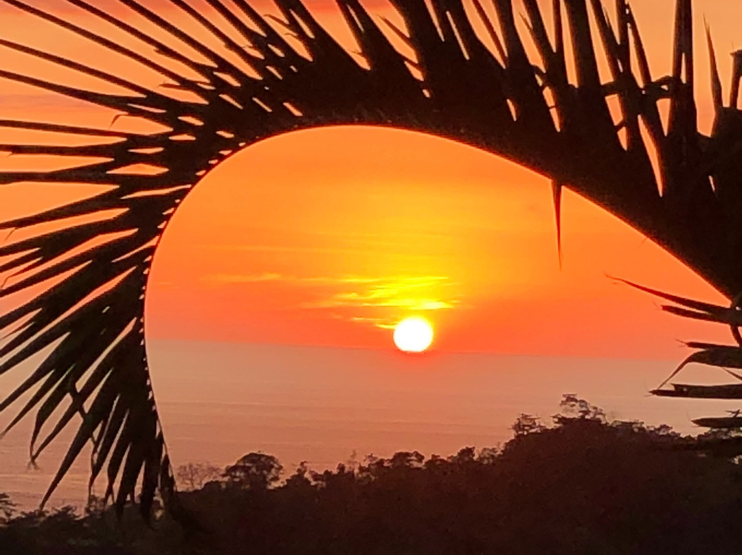 Golden Pineapple Villas主图