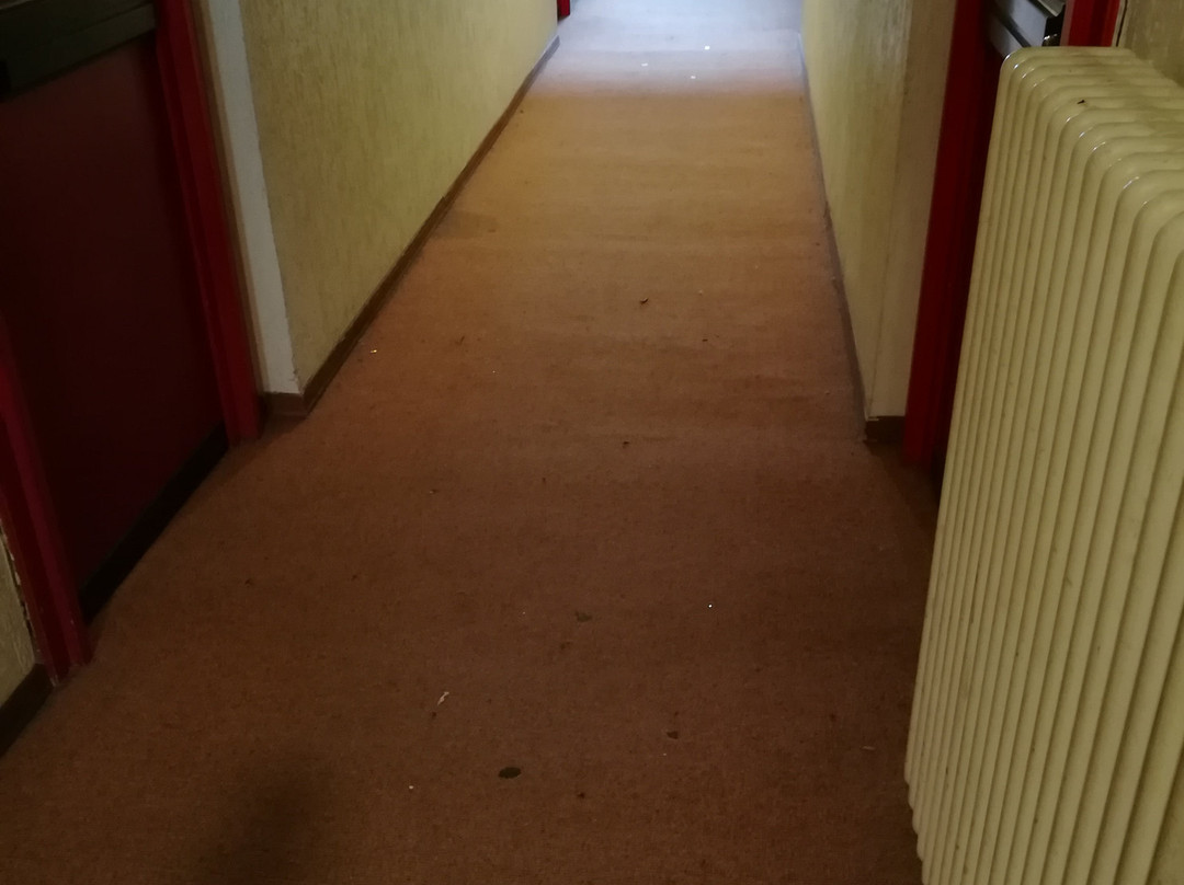 Delberg Palace Hotel主图
