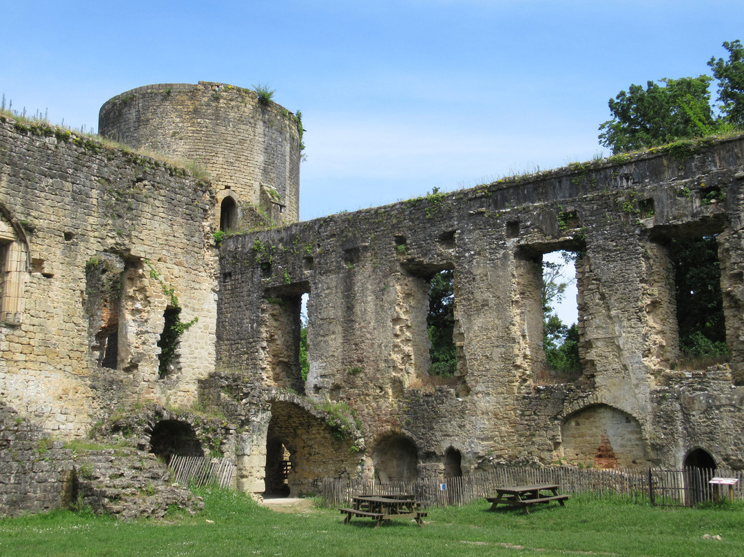 Château de Villandraut景点图片