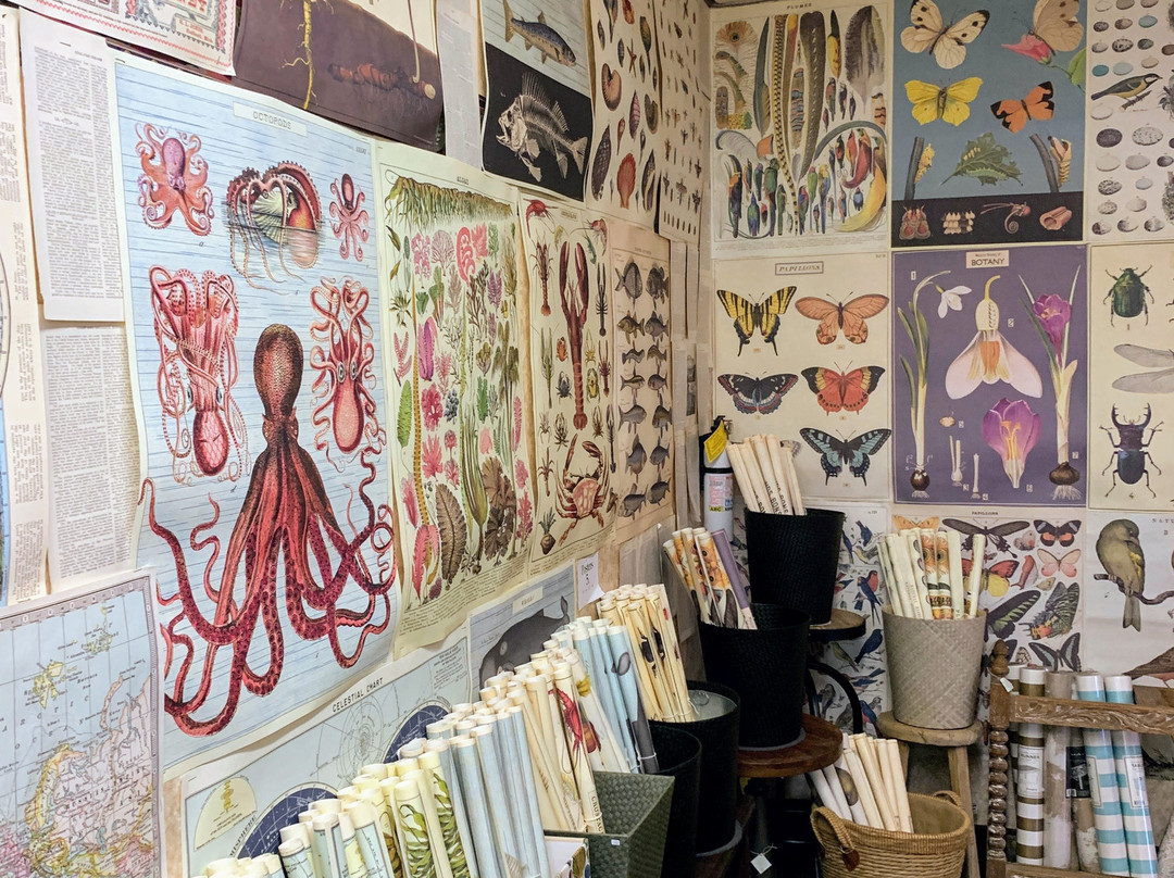 Sesame and Lillies-坎农比奇必去景点