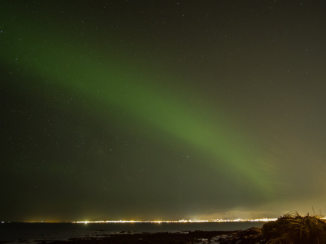 Privileged B&B主图