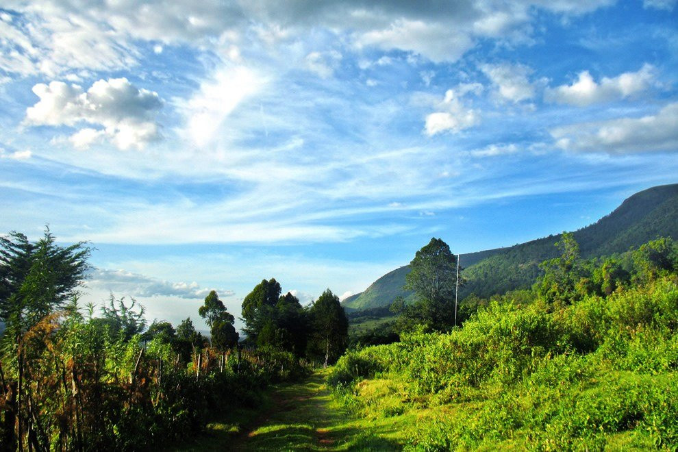 Maverick Camp Rondavels and Homestay主图