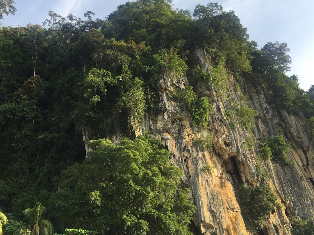 Gua Musang Caves-话望生必去景点