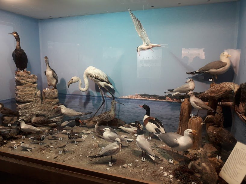 Museum  Of Natural History - Municipality of Serres-塞雷必去景点