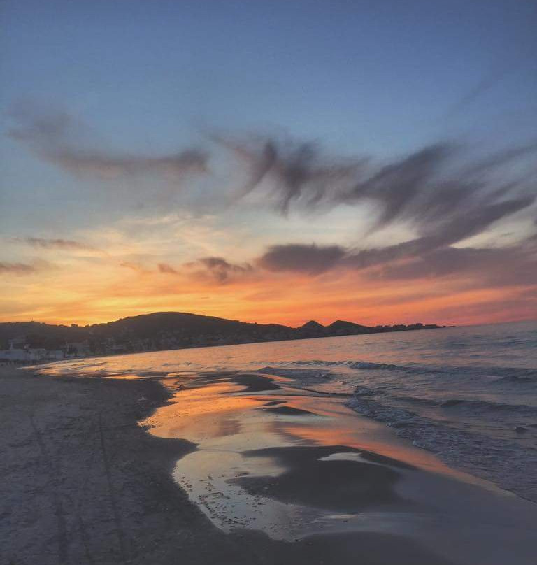 Parc Aladin-比塞大必去景点