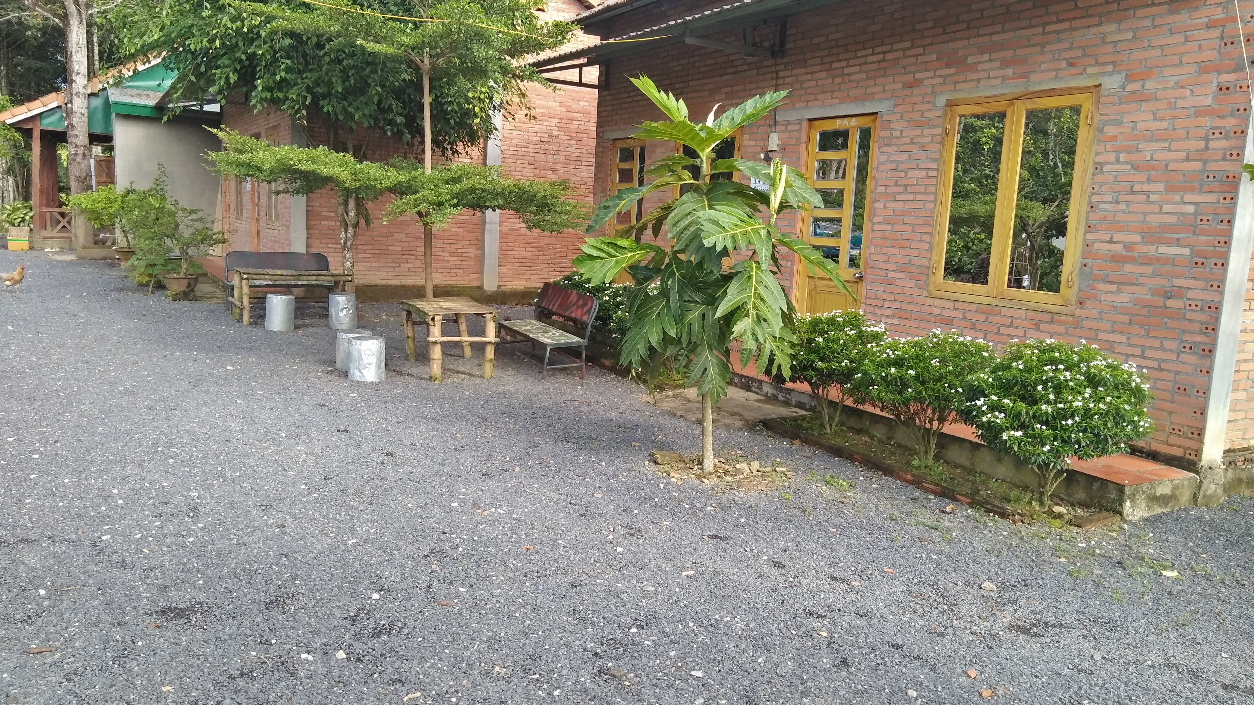 Forest Side Eco Lodge-官方