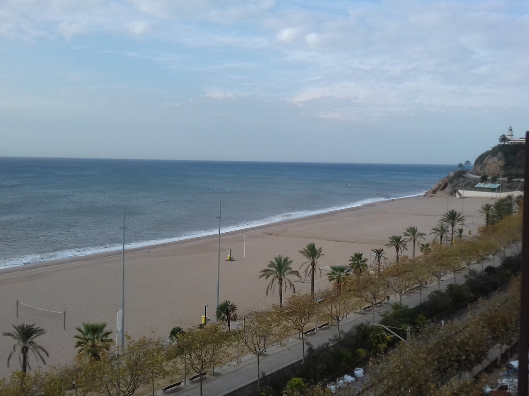 哈罗玛酒店主图