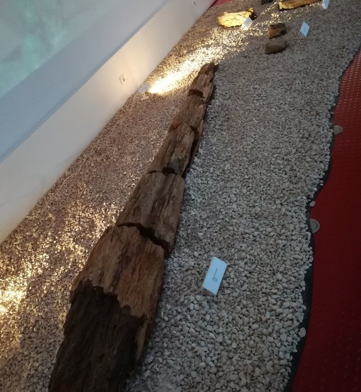 Museu de História Natural-辛特拉必去景点