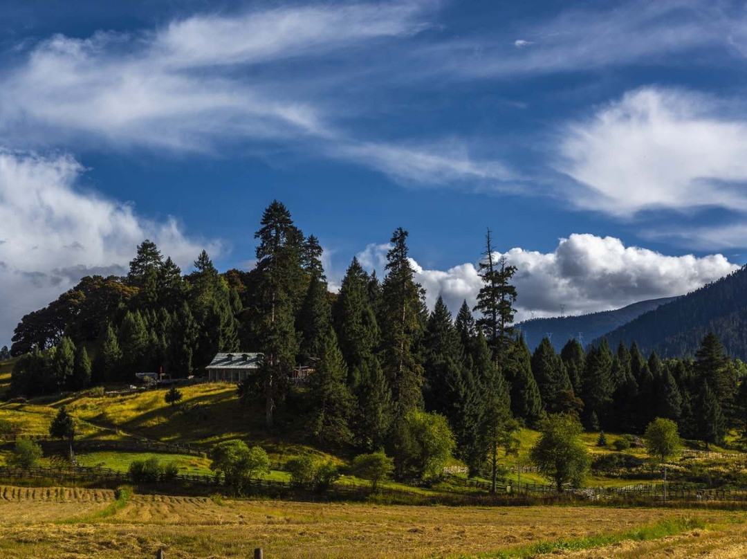 土司城-恩施市必去景点
