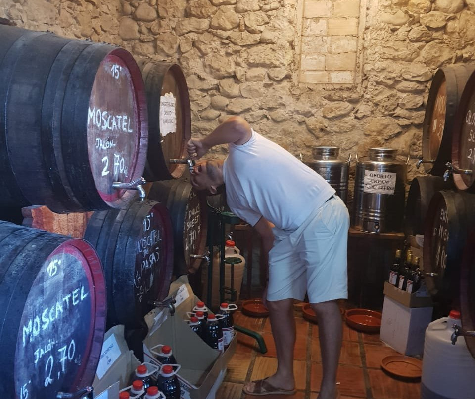 Bodegas Riko景点图片