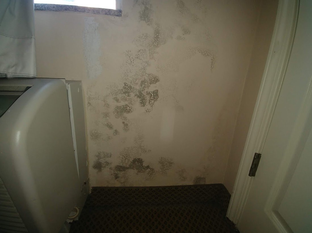 Best Western Premier Richmond City Gateway主图