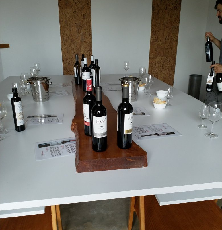 Bodegas Enguera景点图片