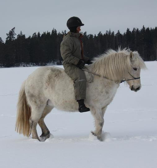 Trailriding in Tiveden景点图片