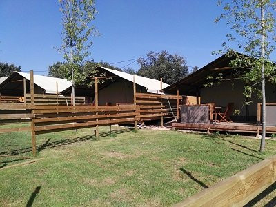 Ultramort旅游攻略图片