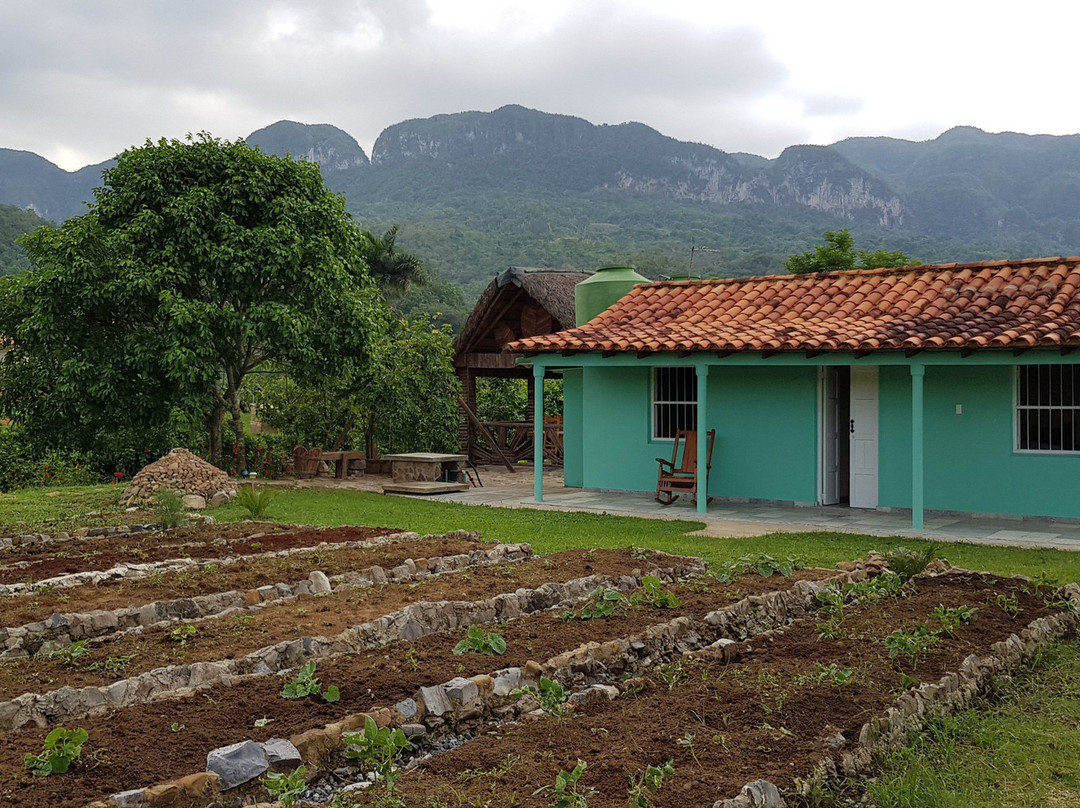 Finca Media Luna主图