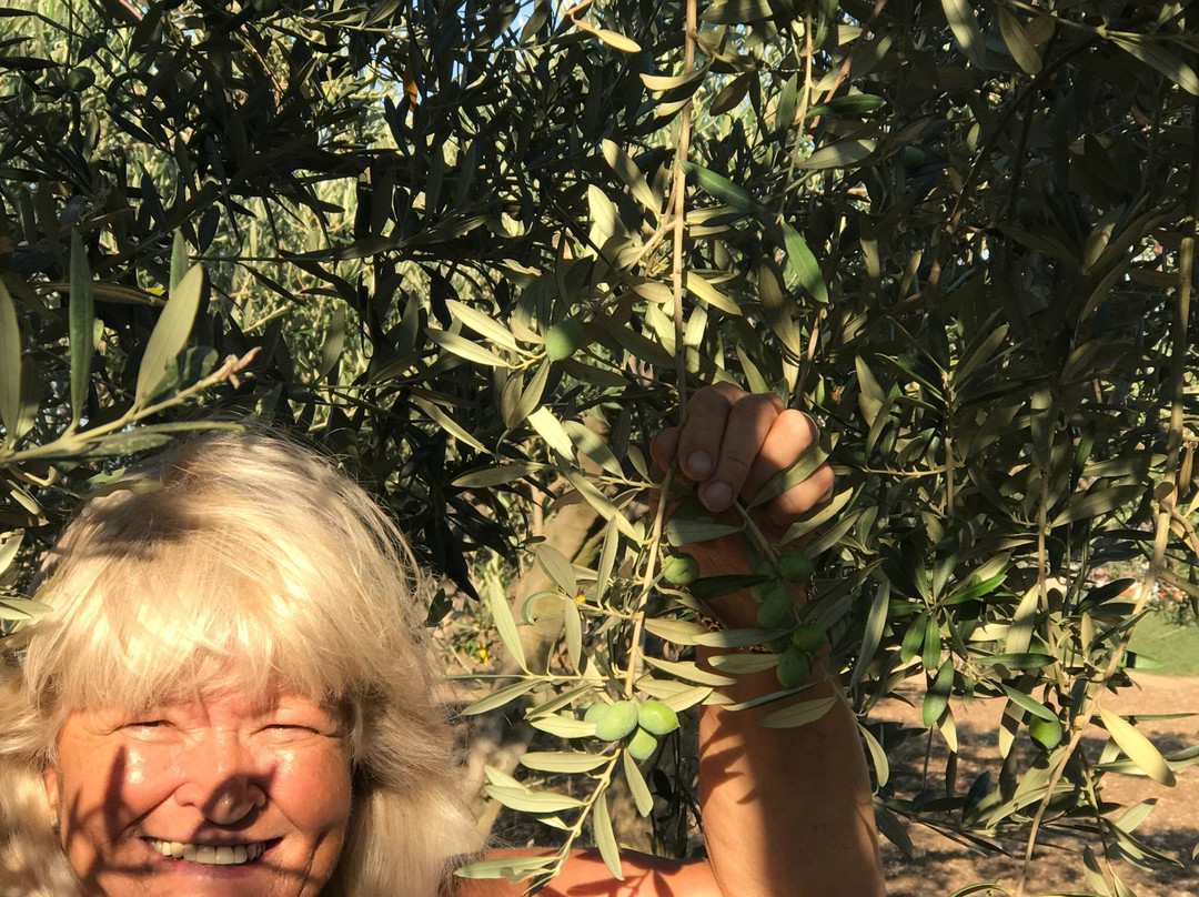 Azienda Agricola Montalbano-Menfi必去景点