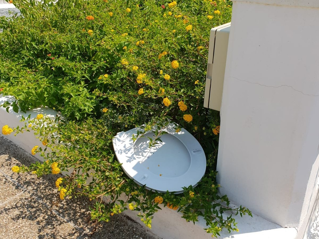 Residence Le Maldive主图