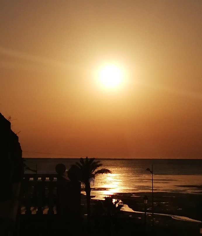 Bahía de Cádiz Natural Park景点图片