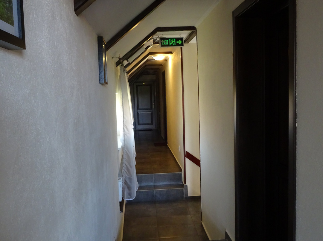 Pensiunea Magnolia主图