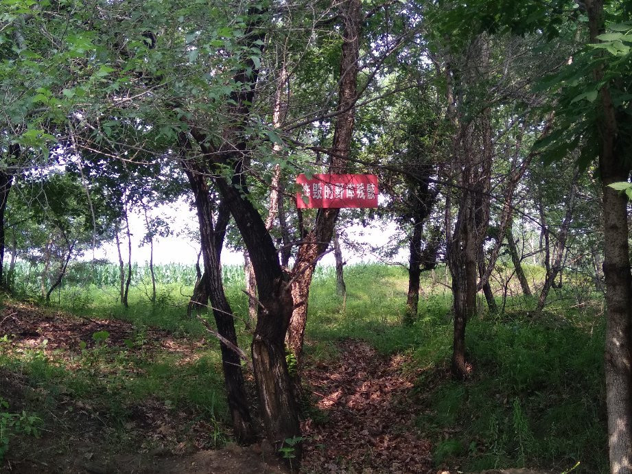 勃利县旅游攻略图片