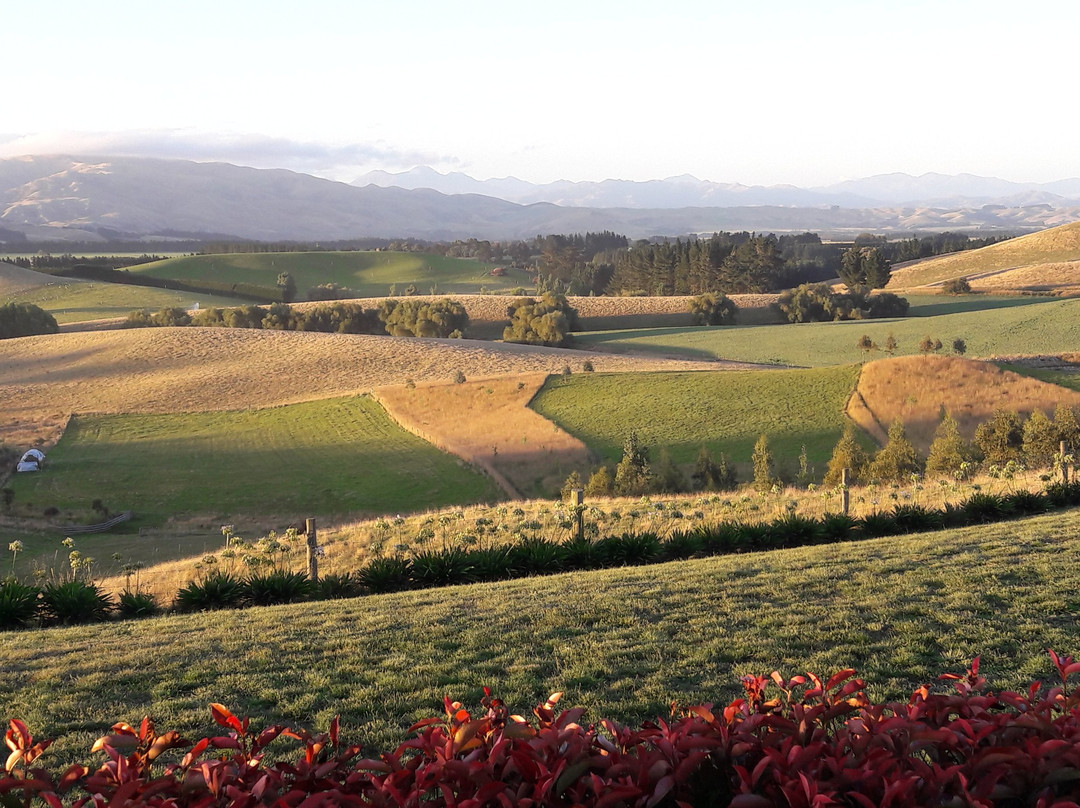 Ribbonwood Country House主图