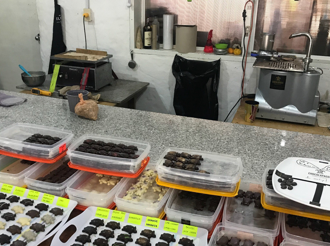 Chocolapagos Darwin's Favourites-阿约拉港必去景点