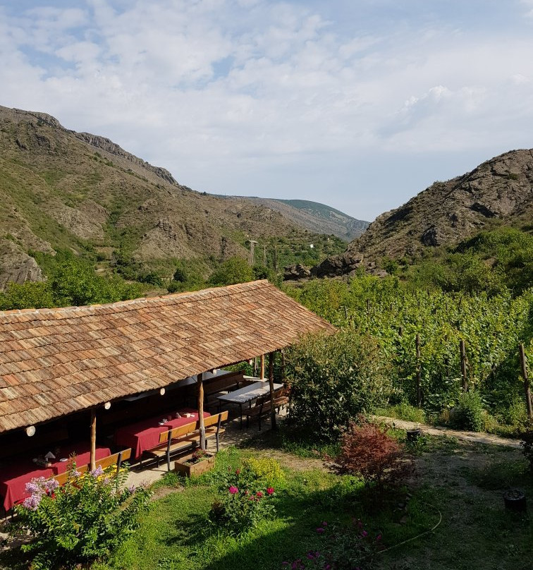 Nika Vacheishvili's Guest House