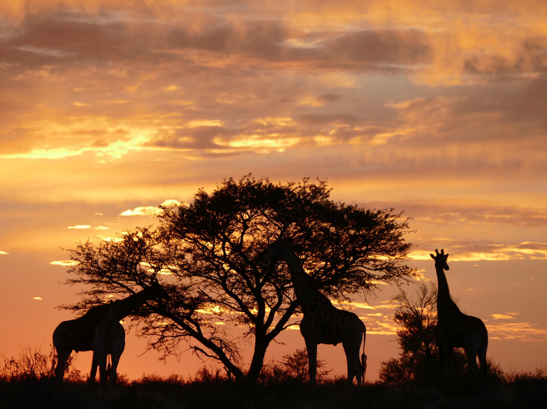 Mata-Mata Rest Camp主图