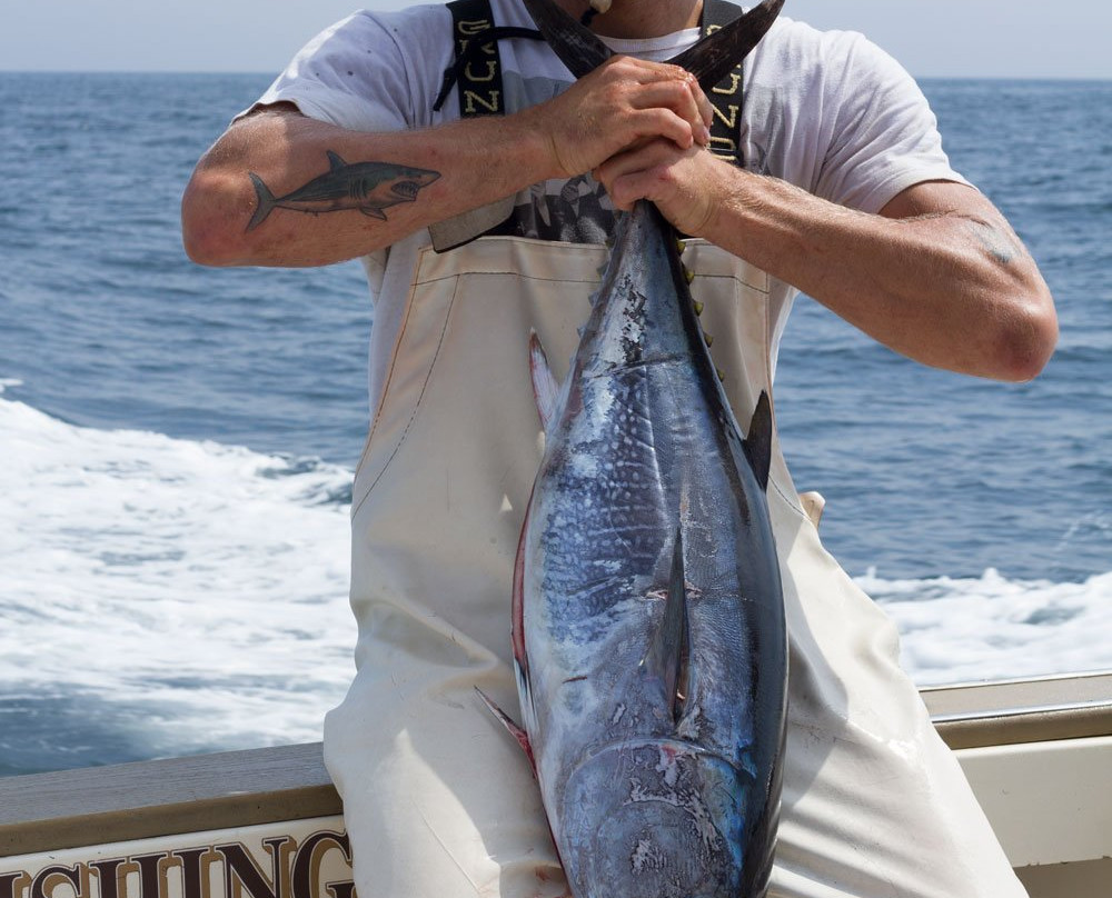 Osprey Sportfishing-格罗顿必去景点