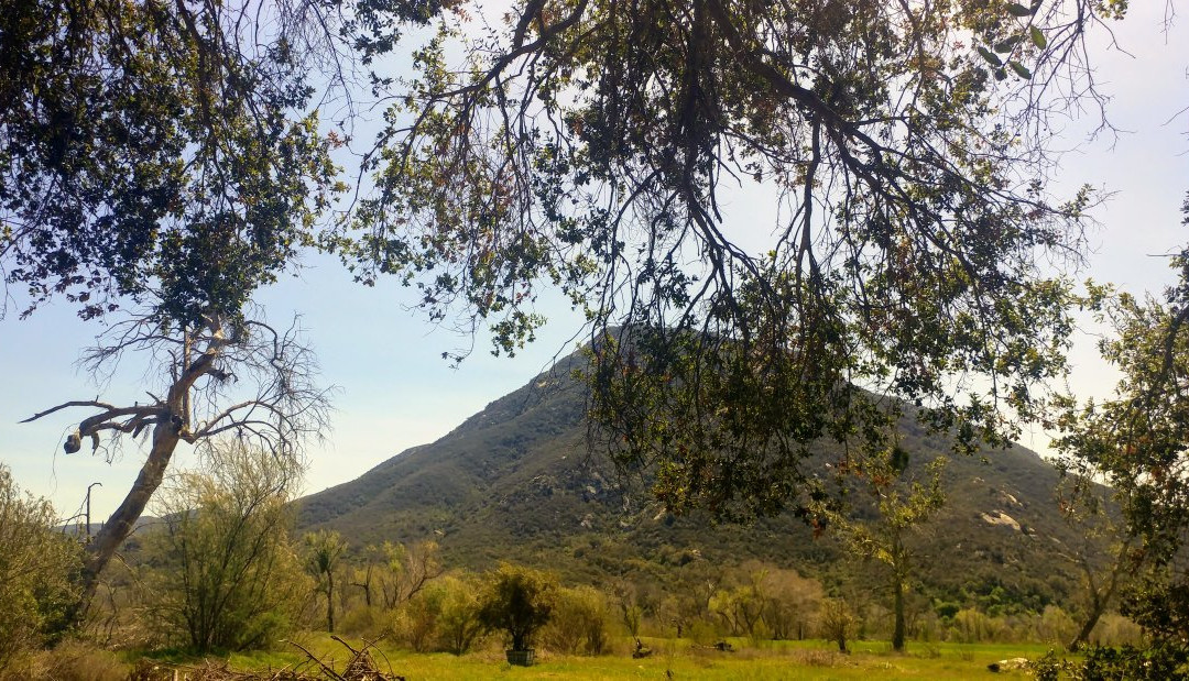 Pala Casino RV Resort