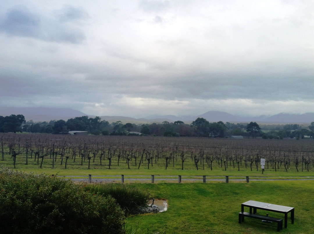 Greenstone Vineyards景点图片
