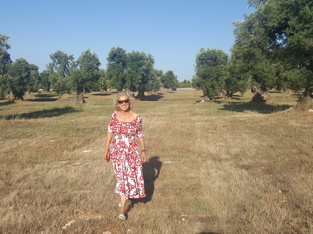 Masseria Brancati主图