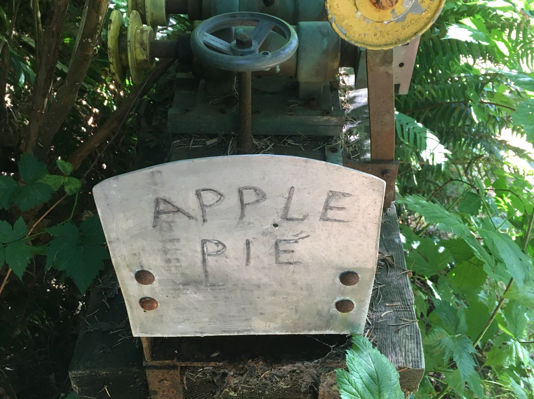 Wacky woods-Fanny Bay必去景点