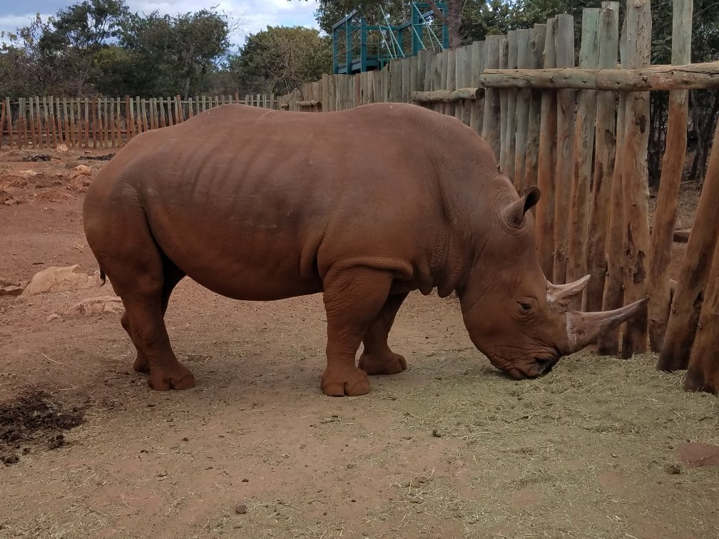 Lusaka National Park景点图片